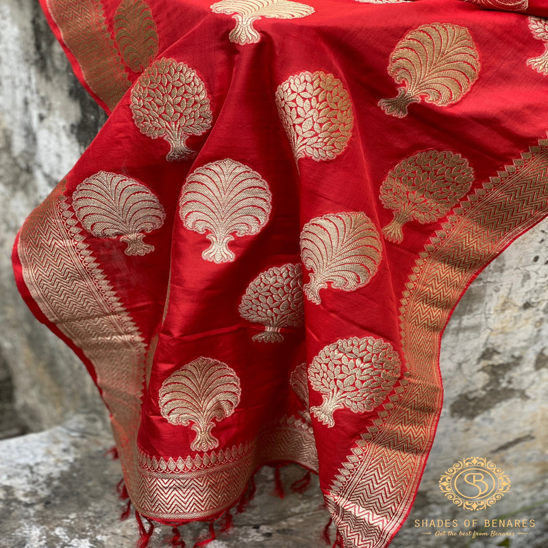Radiant red Banarasi handloom kadhwa silk scarf. Intricate kadhwa work. Timeless elegance and sophistication. Shop now for a pop of color and style!
