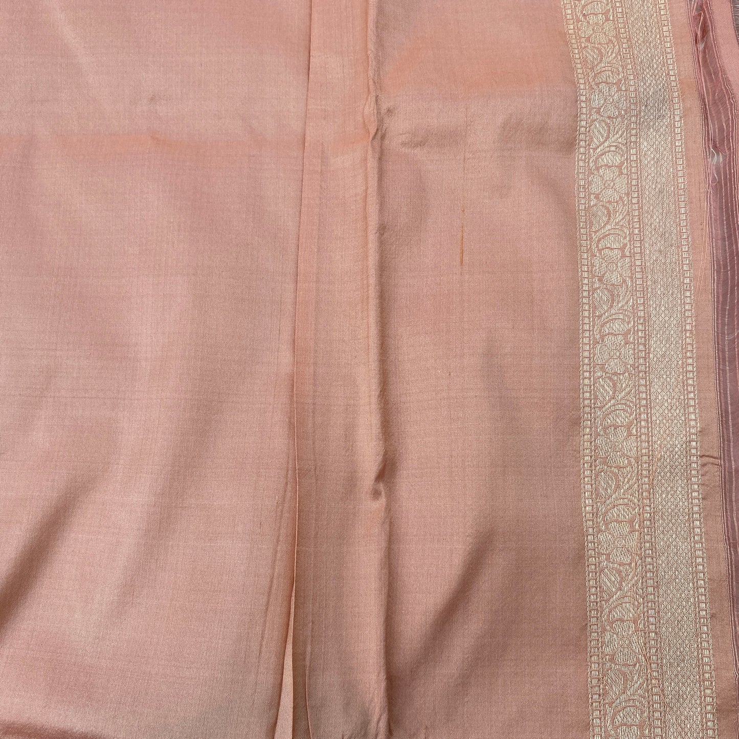 Luxe Peach Kadhiyal Minakari Jaal Pure Silk Handloom Banarasi Saree by Shades Of Banaras - banarasi - banarasi saree shop - banarasi saree manufacturers - banarasi saree wholesale - banaraasi sarees - banarasi sari - banarasi saris