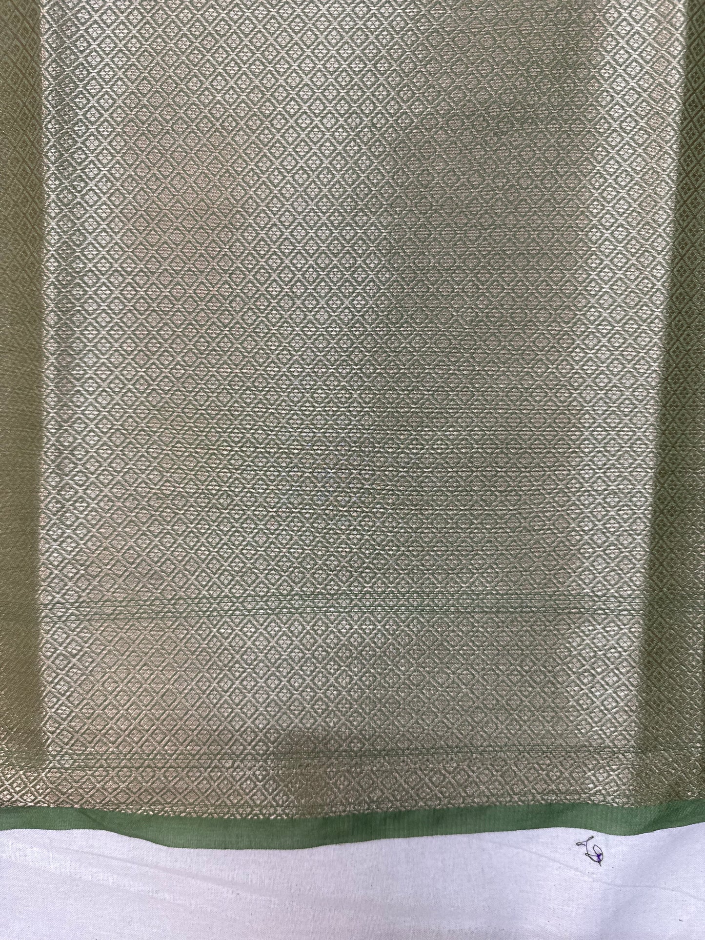 Pastel Green Dupion Silk Handloom Banarasi Saree by Shades Of Benares - banarasi - banarasi saree shop - banarasi saree manufacturers - banarasi saree wholesale - banaraasi sarees