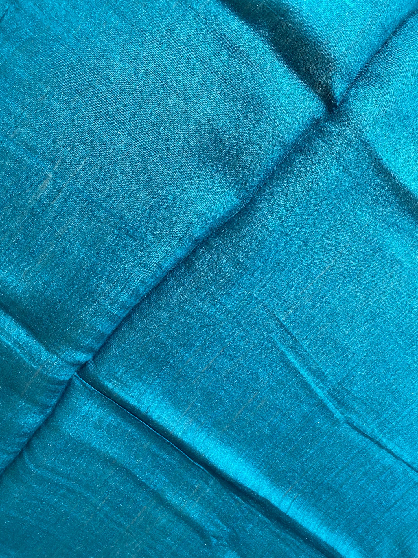 Pastel Green Moonga Silk Banarasi Saree With Green & Blue Floral Print by Shades Of Benares - banarasi - banarasi saree shop - banarasi saree manufacturers - banarasi saree wholesale - banaraasi sarees