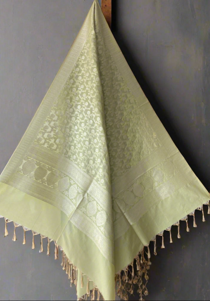 Mint Green Handloom Banarasi Silk Dupatta with Matt Gold Zari Jaal by Shades Of Banaras - banarasi - banarasi saree shop - banarasi saree manufacturers - banarasi saree wholesale - banaraasi sarees