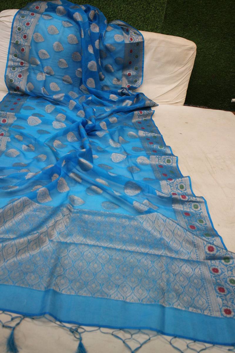 Fine Blue Kora Organza Handloom Banarasi Saree - Limited Edition by Shades of Benares. A stunning and rare creation.