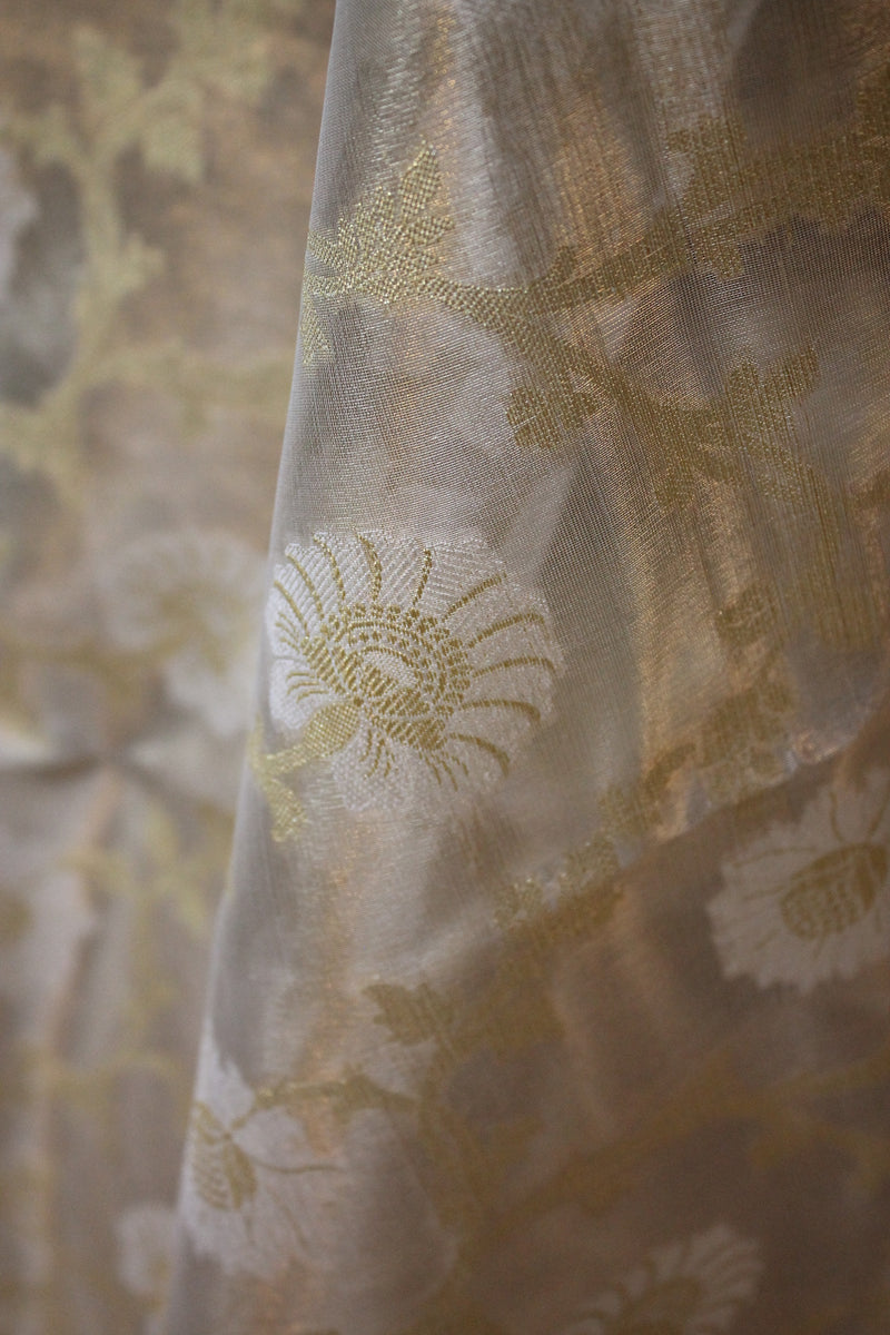 Beige Pure Tissue Silk Saree by shades of benares, showcasing sophistication. Limited Edition.