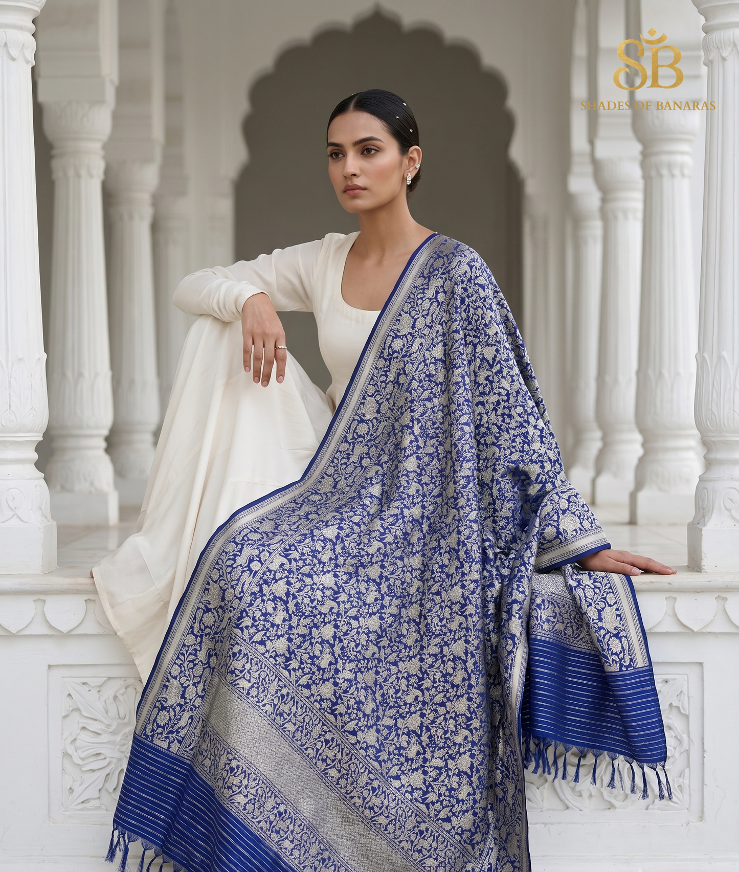Blu Serena Pekhwa Couture Pure Silk Banarasi Dupatta