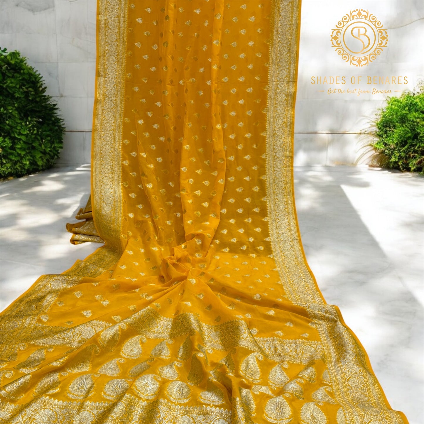 Radiant Charm: The Yellow Chiffon Georgette Banarasi Saree by Shades Of Benares - banarasi - banarasi saree shop