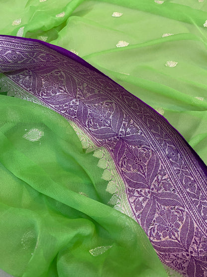 Regal Charm: Parrot Green & Purple Pure Khaddi Chiffon Handloom Banarasi Saree by Shades Of Benares - banarasi - banarasi saree shop