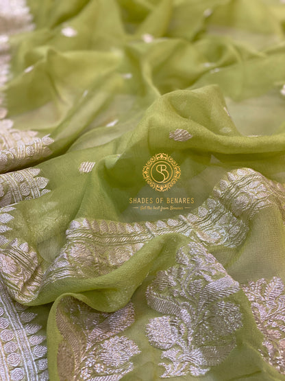 Sublime Sophistication: Pastel Green Pure Khaddi Chiffon Handloom Banarasi Saree by Shades Of Benares - banarasi - banarasi saree shop