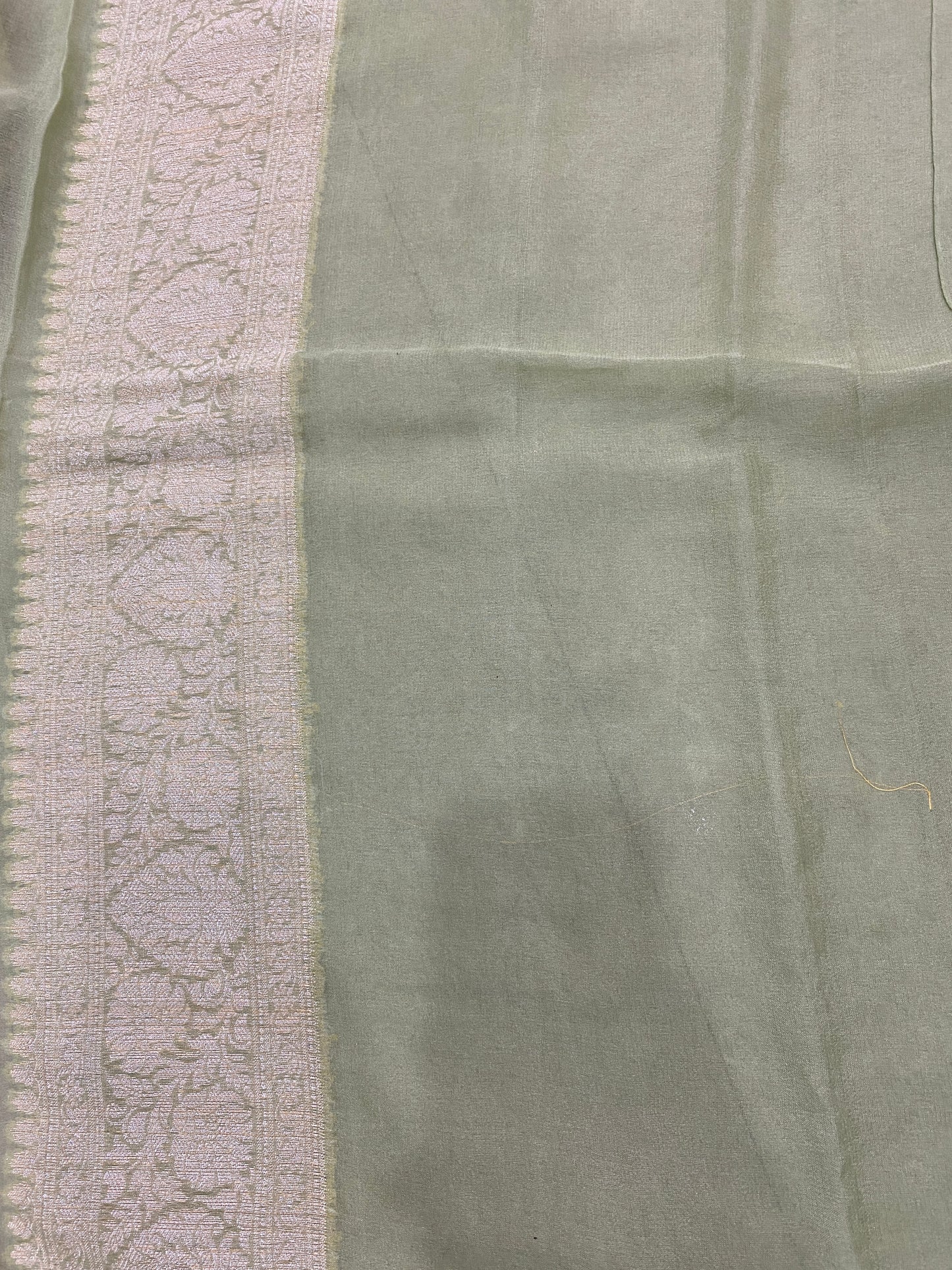 Luxe Verde Pastello Pure Khaddi Georgette Banarasi Saree
