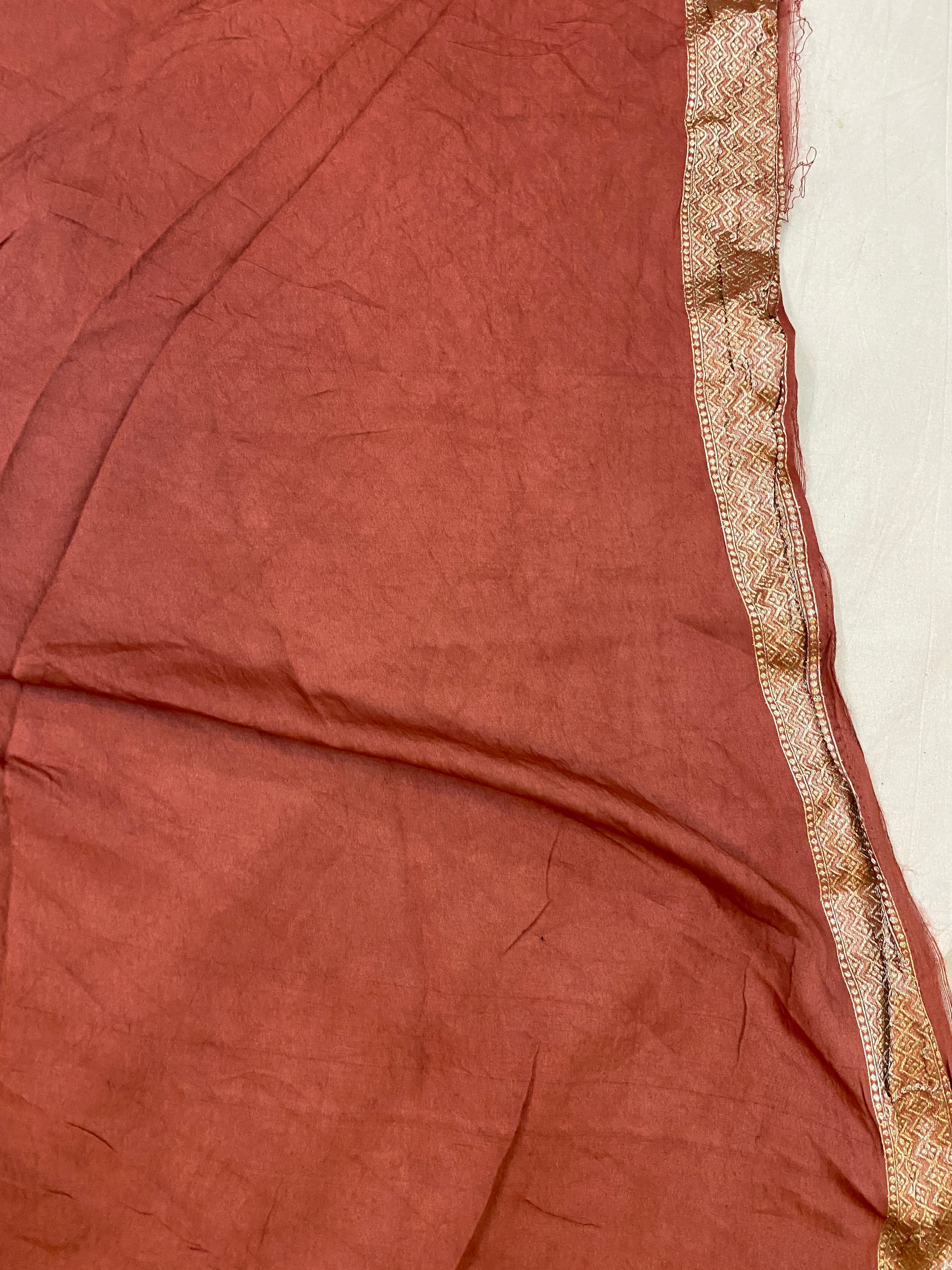 The Light Brown Handloom Pure Moonga Silk Banarasi Saree by Shades Of Benares - banarasi - banarasi saree shop