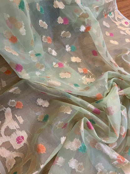 The Pastel Green Pure Cotton Organza Banarasi Sari