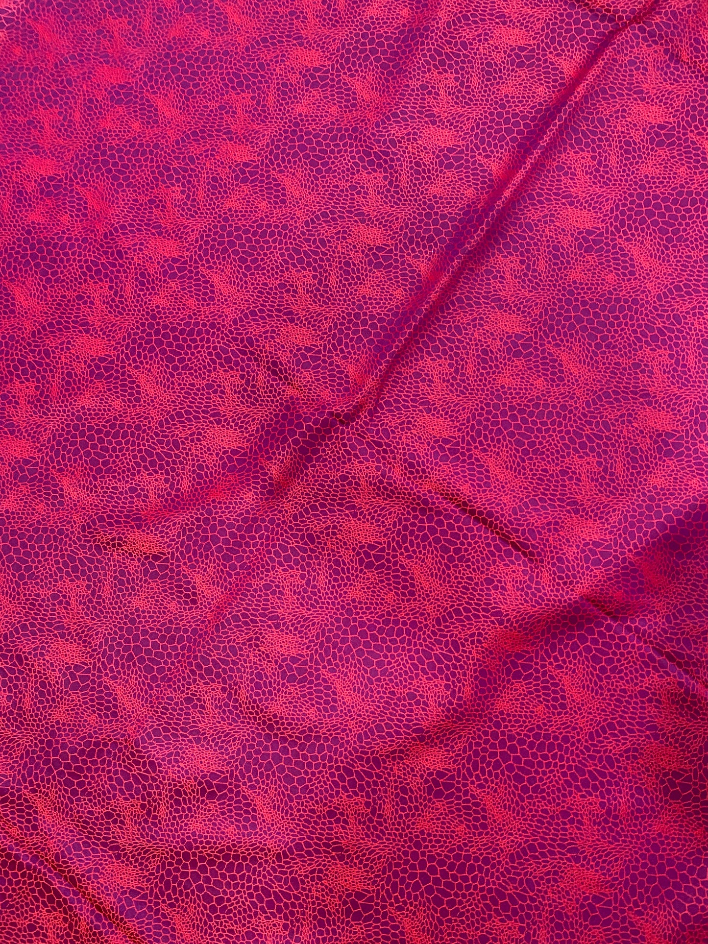 Rosea Grazia Tanchui Couture Pure Silk Banarasi Saree