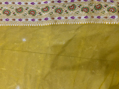 Giallo Dorato Pekhwa Couture Pure Khaddi Chiffon Banarasi Saree
