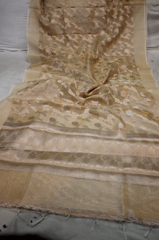 Chic Crème Pure Tissue Silk Banarasi Saree | Exquisite Gold Jaal Design by Shades Of Benares - banarasi - banarasi saree shop