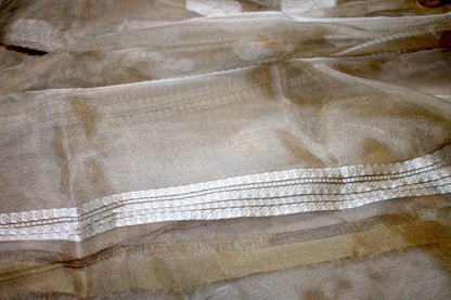 Elegant Gold Handloom Pure Tissue Silk Banarasi Saree by Shades Of Benares - banarasi - banarasi saree shop