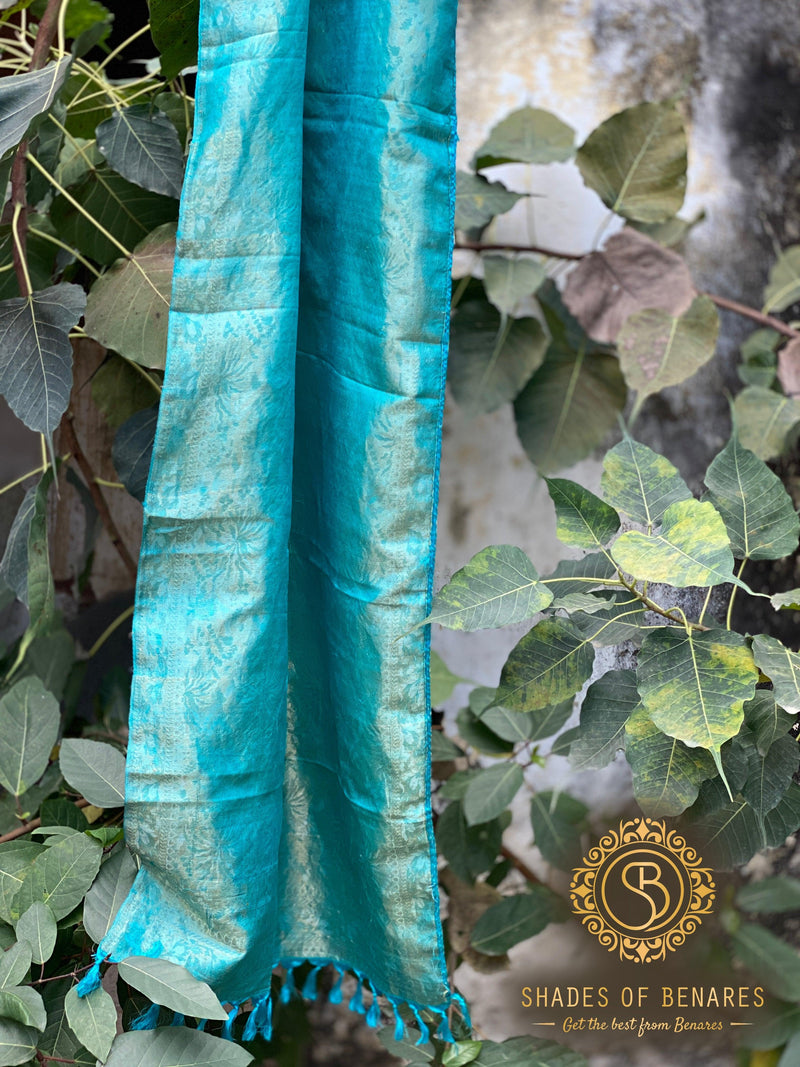 Exquisite Sky Blue Pure Silk Handloom Printed Banarasi Scarf - Shades Of Benares