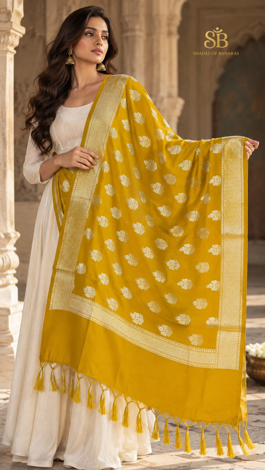 Heritage gold katan soft silk Banarasi handloom dupatta with cutwork butis from Banaras, held open to show the full drape