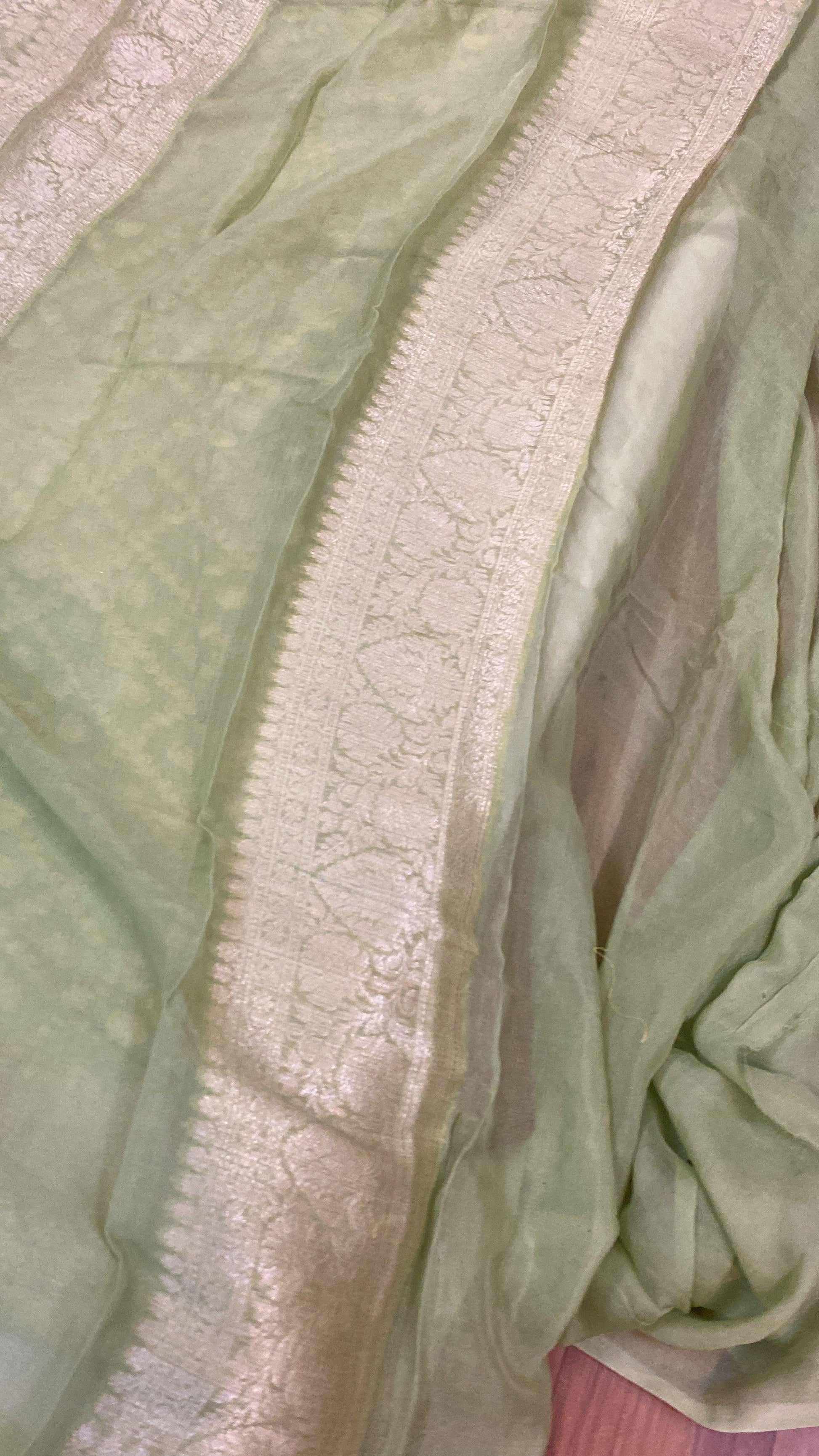 Pastel Green Pure Khaddi Georgette Banarasi Sari by Shades Of Benares - banarasi - banarasi saree shop