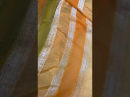 Handwoven Orange Rangkaat Banarasi Silk Sari