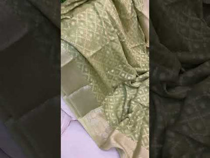 Pastel Green Pure Khaddi Georgette Banarasi Sari