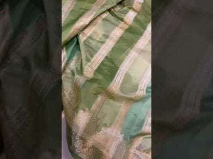 Handwoven Pastel Green Rangkaat Banarasi Silk Sari