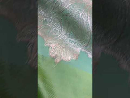 Handwoven Pastel Green Pure Banarasi Silk Sari