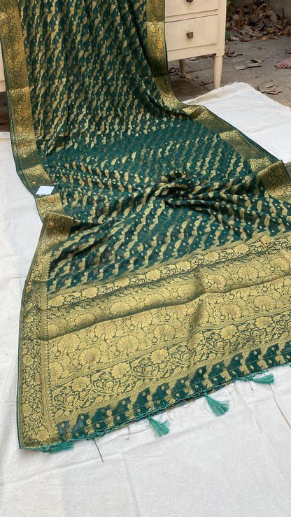 Green Handloom Pure Chiffon Banarasi Saree by Shades Of Benares - banarasi - banarasi saree shop