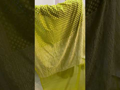 Pista Green Pure Banarasi Khaddi Georgette Handloom SareeAK02AP