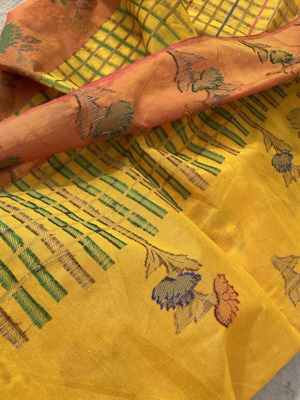 Pure Banarasi Soft Cotton Patola Handloom Saree With Blouse Piece (EE00) - Shades Of Benares