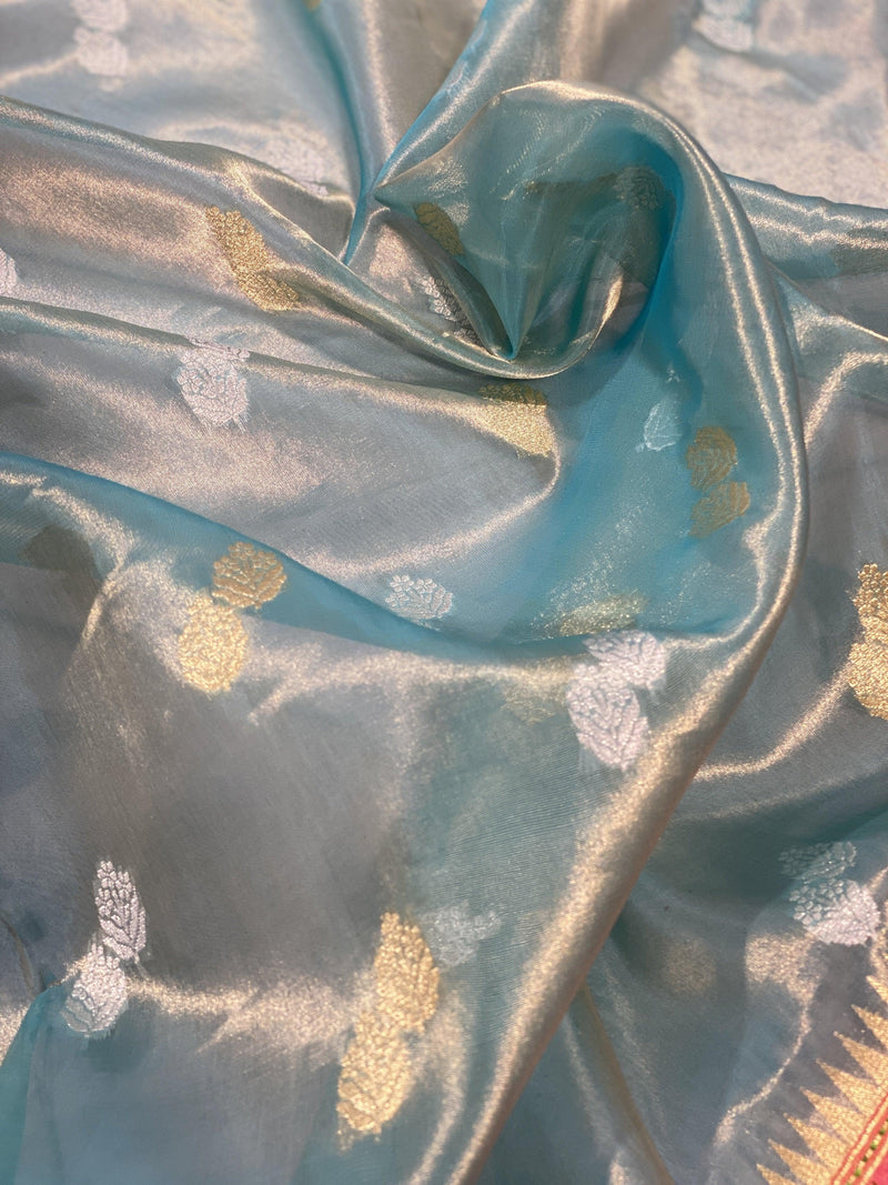 Pure Banarasi tissue handloom saree with blouse piece (SkiG) - Shades Of Benares