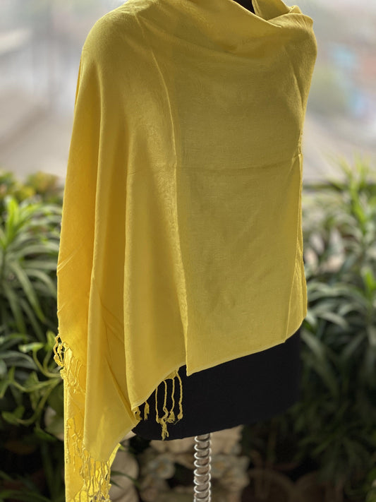 Pure Pashmina Handloom Shawl_CO1 by Shades Of Benares - banarasi - banarasi saree shop