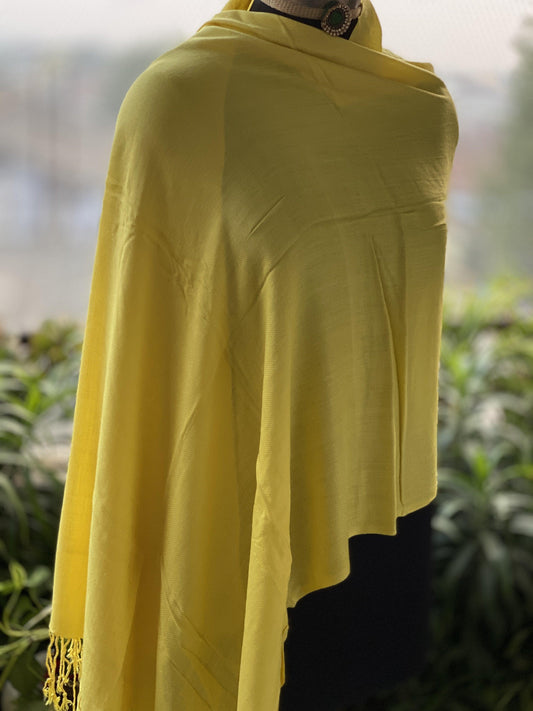 Pure Pashmina Handloom Shawl_CO2 by Shades Of Benares - banarasi - banarasi saree shop