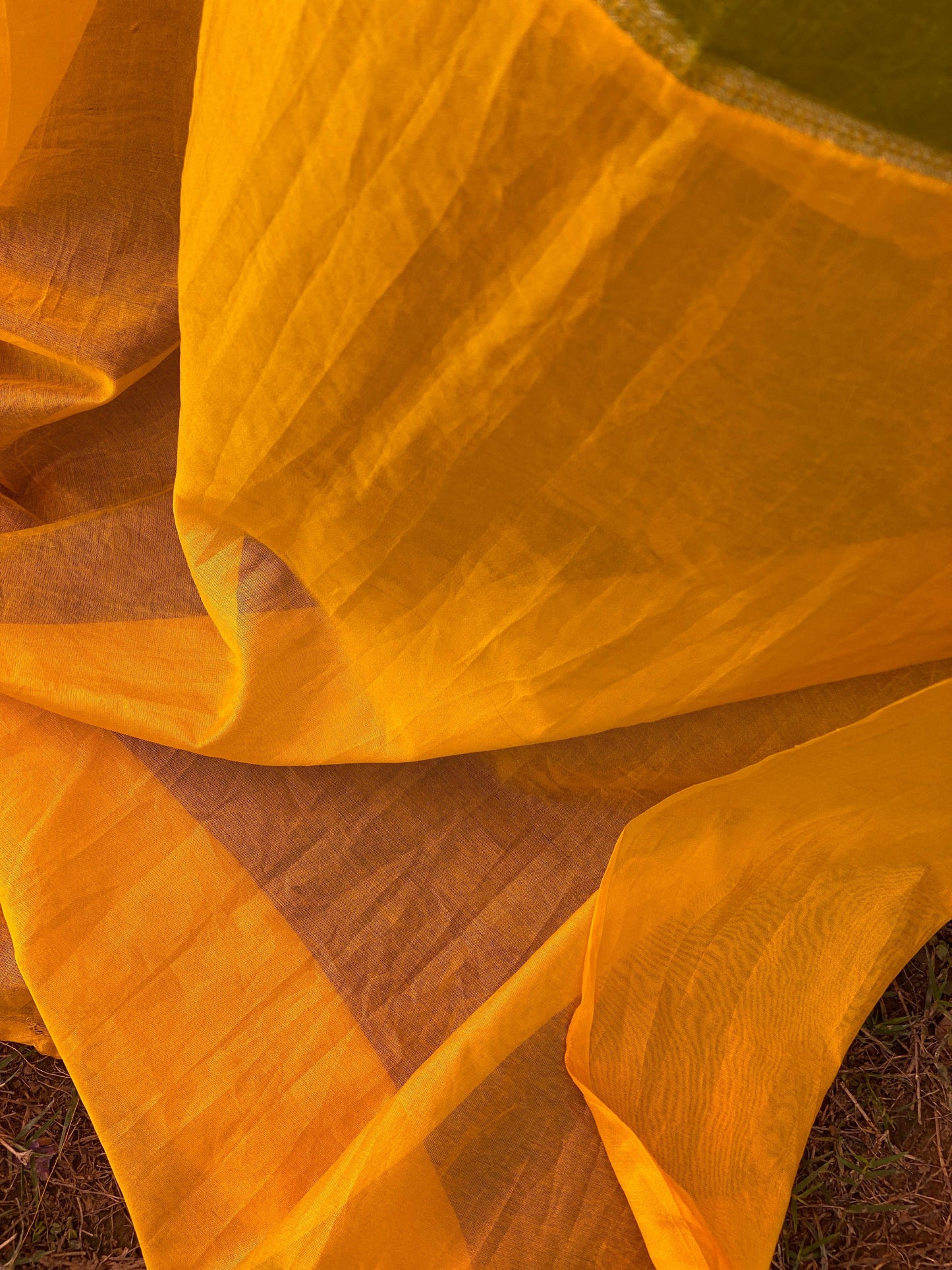 Yellow & Green Pure Banarasi Khaddi Georgette Handloom Leheriya Saree by Shades Of Benares - banarasi - banarasi saree shop